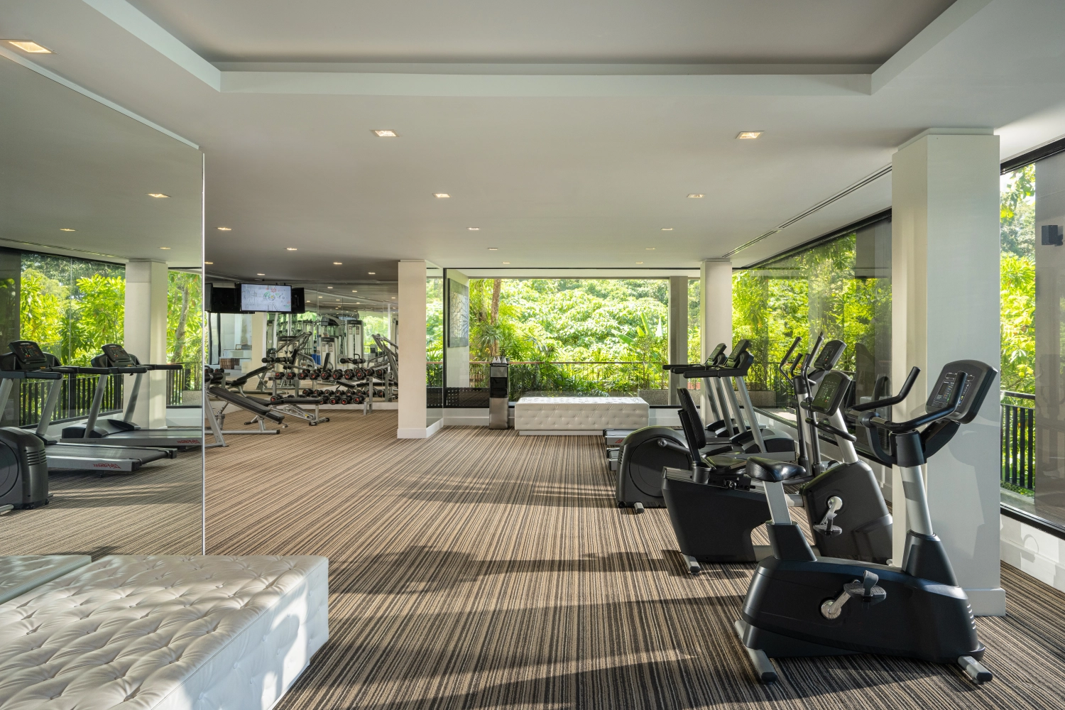 Gym & Fitness Activities